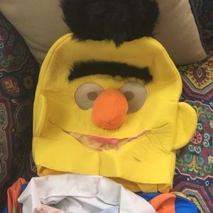 Sesame Street Bert costume size medium